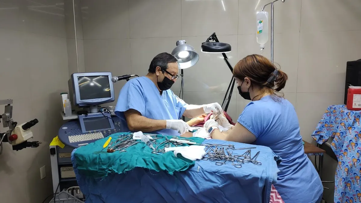 Foto 1 de Dr. Francisco Sevilla Romero, por Dr. Francisco Sevilla Romero, Ginecólogo y Obstetra.