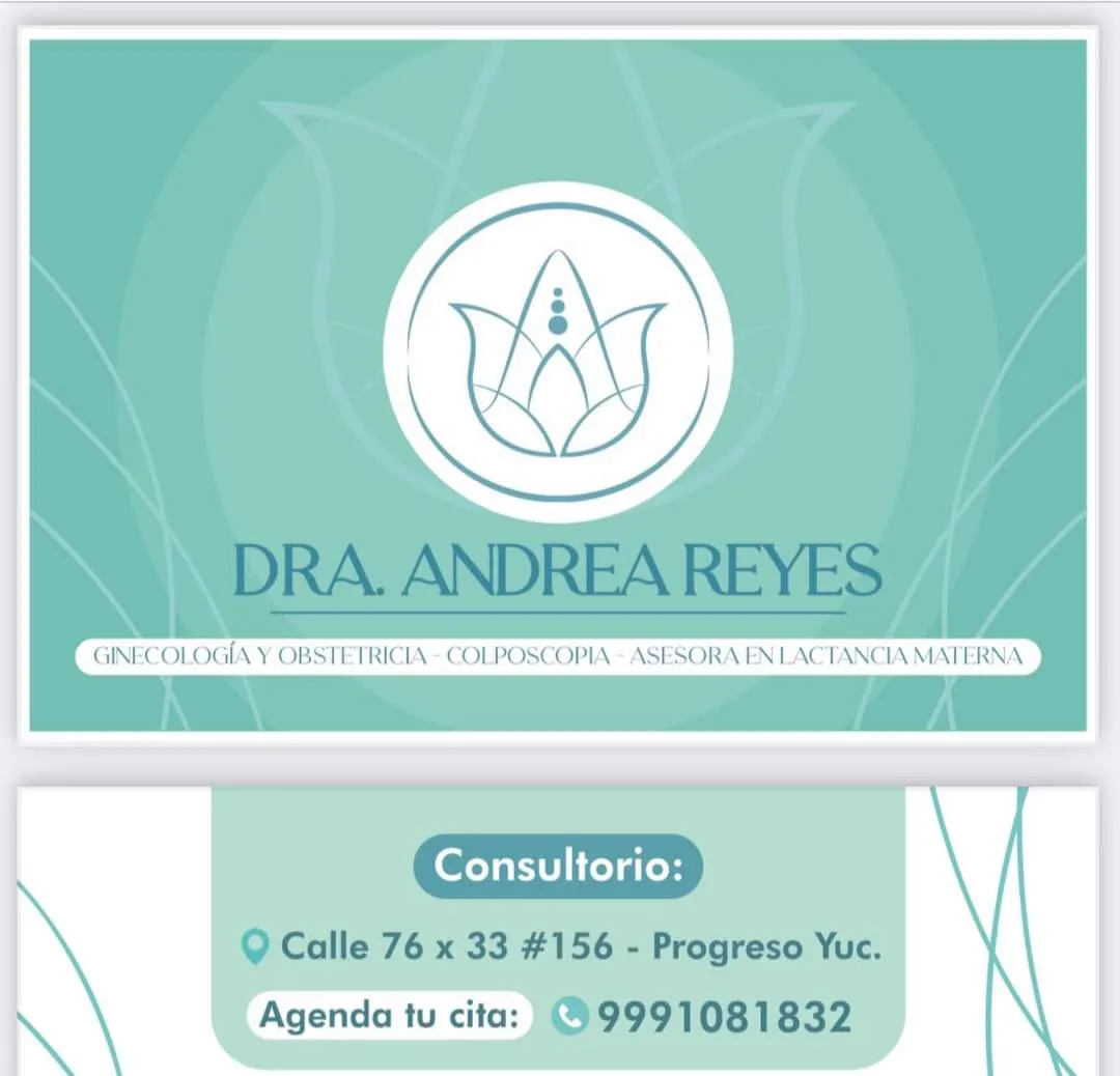 Foto 4 de Dra. Andrea Reyes, por Ginecología y Obstetricia Dra. Andrea Reyes