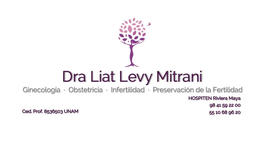 Foto 4 de Dra. Liat Levy Mitrani Playa del Carmen, por Dra. Liat Levy Mitrani Ginecóloga Playa del Carmen