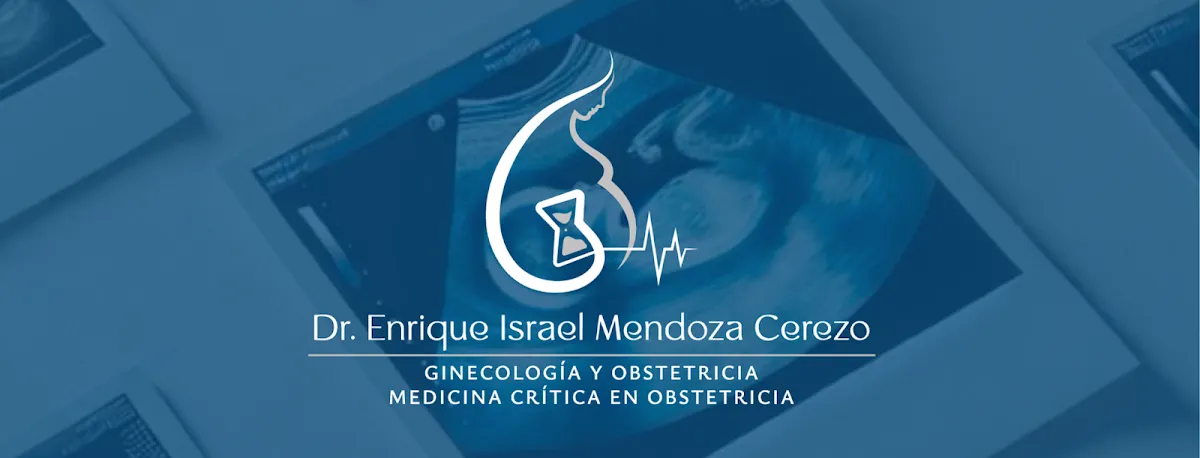 Foto 1 de Dr. Enrique I. Mendoza Cerezo, por Dr. Enrique I. Mendoza Cerezo | ObsteCrítica Xalapa