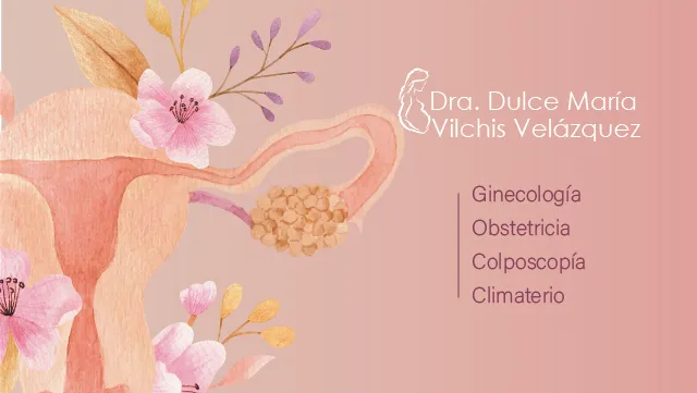 Foto 2 de Dra. Terranova Dulce Maria Vilchis Velazquez, por Consultorio Ginecología Terranova Dra. Dulce Maria Vilchis Velazquez