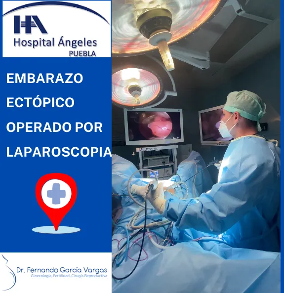 Foto 4 de Dr. Fernando García Vargas, por Dr. Fernando García Vargas Ginecologo