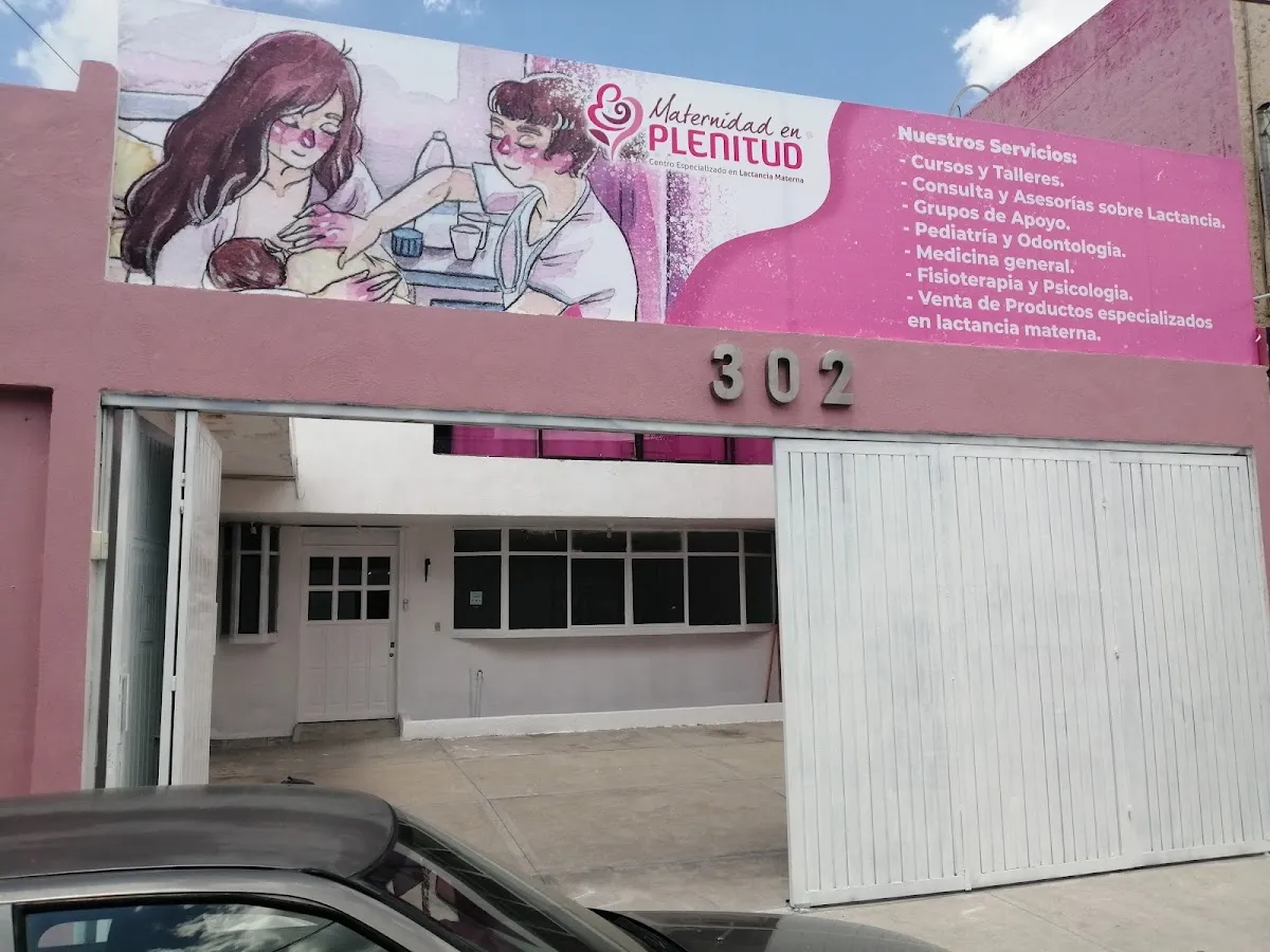 Foto 1 de Maternidad en Plenitud, por The cinema of USA and Mexico