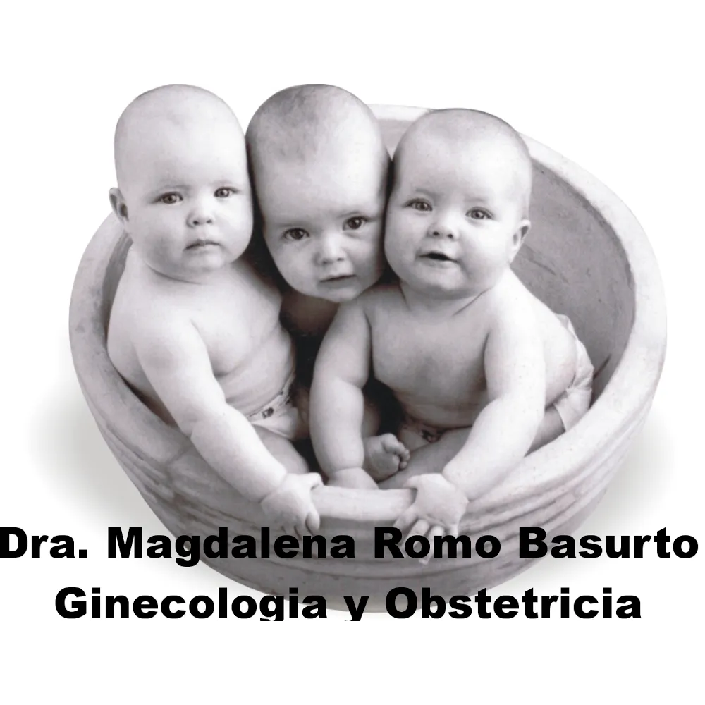 Foto 2 de Dra. Magdalena Romo Basurto, por Dra.Magdalena Romo Basurto