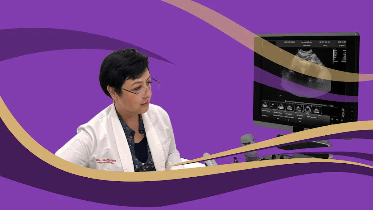 Foto 1 de Dra. Luz Zamarripa Salud Íntima, por Dra. Luz Zamarripa Salud Íntima