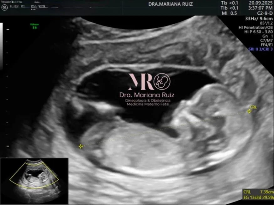 Foto 1 de Dra. / Mariana Ruiz/ Medicina, por Ginecóloga/Dra. Mariana Ruiz/ Medicina Materno Fetal