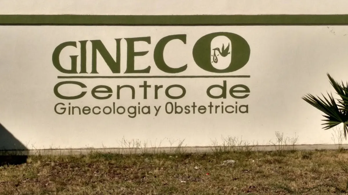 Foto 4 de Gineco, por Dvd Theron