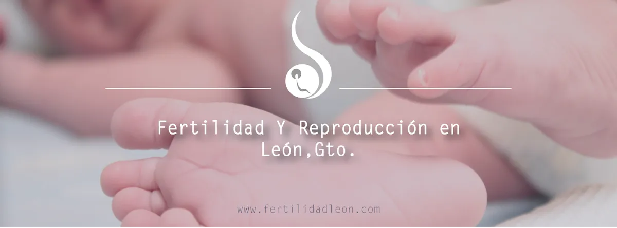 Foto 1 de VeFértil, por Fertilidad León