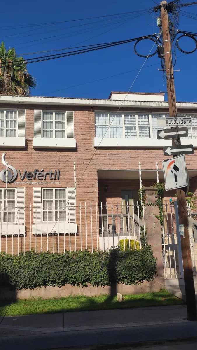 Foto 2 de VeFértil, por VeFértil