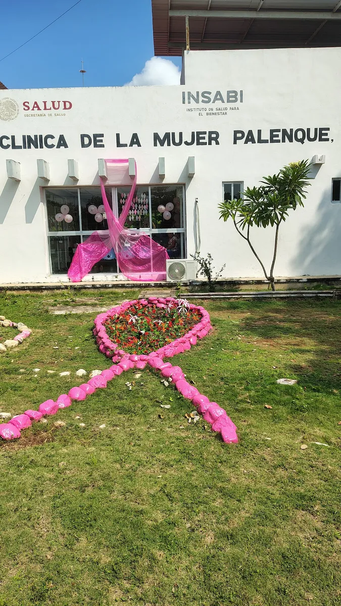Foto 1 de Clinica de la Mujer Palenque Chiapas, por Marisol Andrade Bocanegra