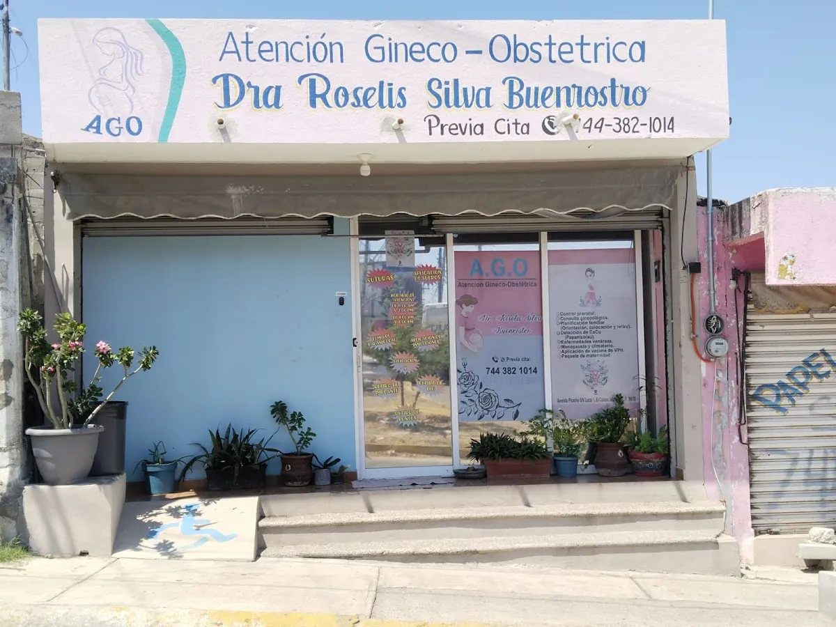 Foto 1 de A. G. O Roselis Silva, por A.G.O GINECOLOGA ROSELIS SILVA