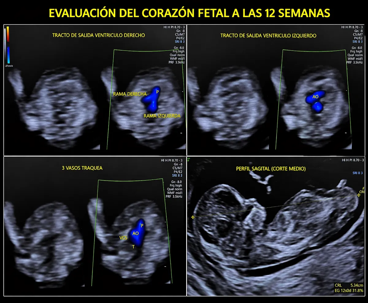 Foto 1 de Dr. David Castellanos, por Fetalux Materno Fetal Oaxaca