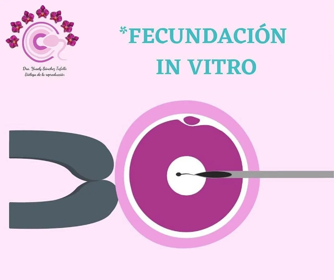 Foto 4 de Dra. y / Yusely Sánchez Tafoya, por Ginecología y Biología de la reproducción/ Dra. Yusely Sánchez Tafoya